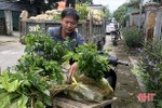 Hỗ trợ hơn 10 vạn cây giống lâm nghiệp cho người dân Hương Sơn