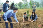 Tổ chức Hợp tác quốc tế Đức hỗ trợ cây giống cho gần 1.100 hộ dân Hà Tĩnh