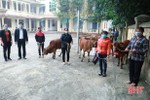 Trao bò sinh sản hỗ trợ các gia đình có hoàn cảnh khó khăn ở Nghi Xuân