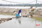 Hà Tĩnh cấp phát 50 tấn hóa chất khử khuẩn môi trường nuôi trồng thủy sản