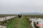 Hà Tĩnh: Một phụ nữ tử vong bên bờ ruộng khi đi bắt cua đồng