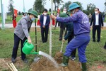 Lãnh đạo tỉnh tham gia trồng cây xanh tại thành phố Hà Tĩnh
