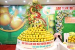 Cam Hà Tĩnh “biến hóa” đẹp mắt tại hội nghị quảng bá thương hiệu