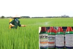 Hà Tĩnh: Xử lý nghiêm việc buôn bán, sử dụng thuốc trừ cỏ có hoạt chất cực độc