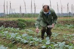 Giá phân bón tăng cao, nông dân Hà Tĩnh tìm cách thích ứng
