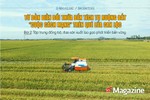Từ dồn điền đổi thửa đến tích tụ ruộng đất - “cuộc cách mạng” trên quê lúa Can Lộc (bài 2): Tập trung đồng bộ, đưa sản xuất lúa gạo phát triển bền vững