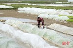 Hà Tĩnh phấn đấu sản xuất đạt 36,7 vạn tấn lương thực trong vụ xuân 2022