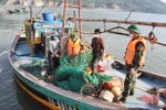 Bắt tàu giã cào khai thác hải sản sai vùng biển quy định