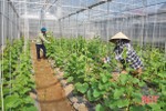 Nông dân Lộc Hà làm nhà lưới để nâng cao giá trị sản xuất nông nghiệp