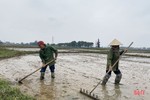 Thời tiết thuận lợi, nông dân Hà Tĩnh tập trung gieo cấy lúa xuân