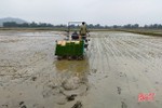 Can Lộc gieo cấy đạt 99,5% diện tích lúa vụ xuân