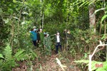 Hương Sơn tăng cường giữ rừng dịp tết