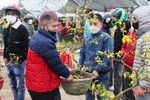 Chợ hoa, cây cảnh ở Hà Tĩnh “xả hàng” chiều 29 tết