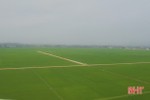 Khát vọng xanh trên cánh đồng lớn ở Can Lộc
