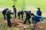 Sở Y tế Hà Tĩnh hưởng ứng Tết trồng cây tại Hương Khê