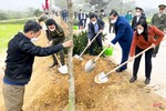 Chủ tịch UBND tỉnh Hà Tĩnh tham gia trồng cây tại các địa phương