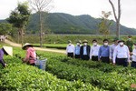 Phát huy tiềm năng, lợi thế sản phẩm chủ lực để nâng cao giá trị nông nghiệp ở Hương Sơn