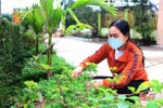 Người dân Vũ Quang khởi động làm nông thôn mới sau kỳ nghỉ tết