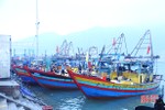 Hà Tĩnh cấp mới 965 giấy phép khai thác thủy sản cho ngư dân