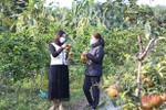Phụ nữ vùng biên Hà Tĩnh thay đổi cuộc sống nhờ sự đồng hành của các cấp hội