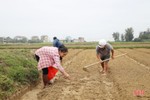 Nông dân Hà Tĩnh khẩn trương phủ kín diện tích cây trồng cạn vụ xuân