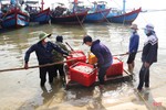 Ngư dân vùng biển phía Nam Hà Tĩnh trúng đậm cá cơm