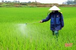 Thời tiết nắng ấm, nông dân Lộc Hà tập trung chăm sóc cây trồng vụ xuân