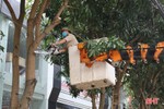Ra quân cắt tỉa cây xanh, chỉnh trang đô thị tuyến đường Nguyễn Du