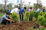TP Hà Tĩnh trồng bổ sung cây xanh, tạo cảnh quan đô thị sạch - đẹp