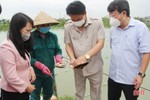Tuyên truyền, nhân rộng các mô hình sản xuất nông nghiệp công nghệ cao tại TP Hà Tĩnh