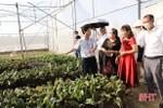 Cơ hội hợp tác chuyển đổi số cho các mô hình nông nghiệp đô thị TP Hà Tĩnh