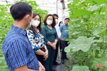 Phó Chủ tịch Trung ương Hội Nông dân Việt Nam: Nông nghiệp Hà Tĩnh đang đi đúng hướng