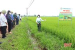 Nông dân Hà Tĩnh tiếp cận giải pháp canh tác lúa thân thiện với môi trường