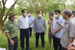 Lãnh đạo tỉnh Hà Tĩnh mong muốn Công ty CP Tập đoàn Quế Lâm chia sẻ kinh nghiệm sản xuất nông nghiệp hữu cơ
