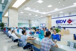 BIDV Hà Tĩnh tuyển 5 chuyên viên nghiệp vụ tín dụng
