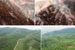 Flycam: Rừng ở Hà Tĩnh “hồi sinh” sau vụ cháy lịch sử