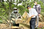 Cựu chiến binh miền núi Vũ Quang giúp nhau phát triển kinh tế