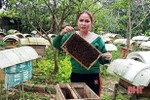 Cô thủ thư mê nuôi ong lấy mật ở miền núi thơm Hà Tĩnh