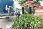 Trao hỗ trợ gần 27.000 giống cây ăn quả cho nông dân Hà Tĩnh