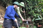 Chấn chỉnh tình trạng khai thác gỗ rừng trái phép ở Hương Khê
