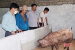 Vũ Quang thí điểm 2 mô hình chăn nuôi lợn hữu cơ