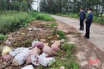 Vứt lợn chết ra bãi hoang ở Lộc Hà