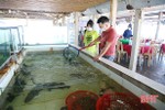 Hải sản “đắt hàng” trước kỳ nghỉ lễ ở Hà Tĩnh