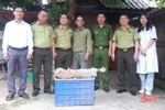 Bàn giao 8 cá thể rùa quý hiếm cho Vườn Quốc gia Vũ Quang