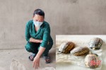 Hà Tĩnh: Khởi tố đối tượng tàng trữ 4 cá thể rùa trái phép
