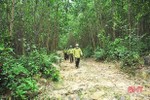 Hương Khê chi hơn 2,4 tỷ đồng bảo vệ và phòng cháy, chữa cháy rừng