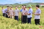 Vũ Quang có nhiều lợi thế để phát triển mô hình nông nghiệp hữu cơ