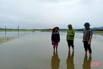 Hà Tĩnh: Nhiều diện tích lúa bị ngập úng, đổ gãy sau mưa lớn