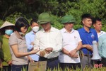 Thí điểm thành công mô hình sản xuất lúa hữu cơ DT39 tại Vũ Quang