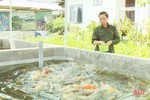 Khám phá mô hình nuôi cá Koi giống cho thu nhập cao của cựu chiến binh Hà Tĩnh